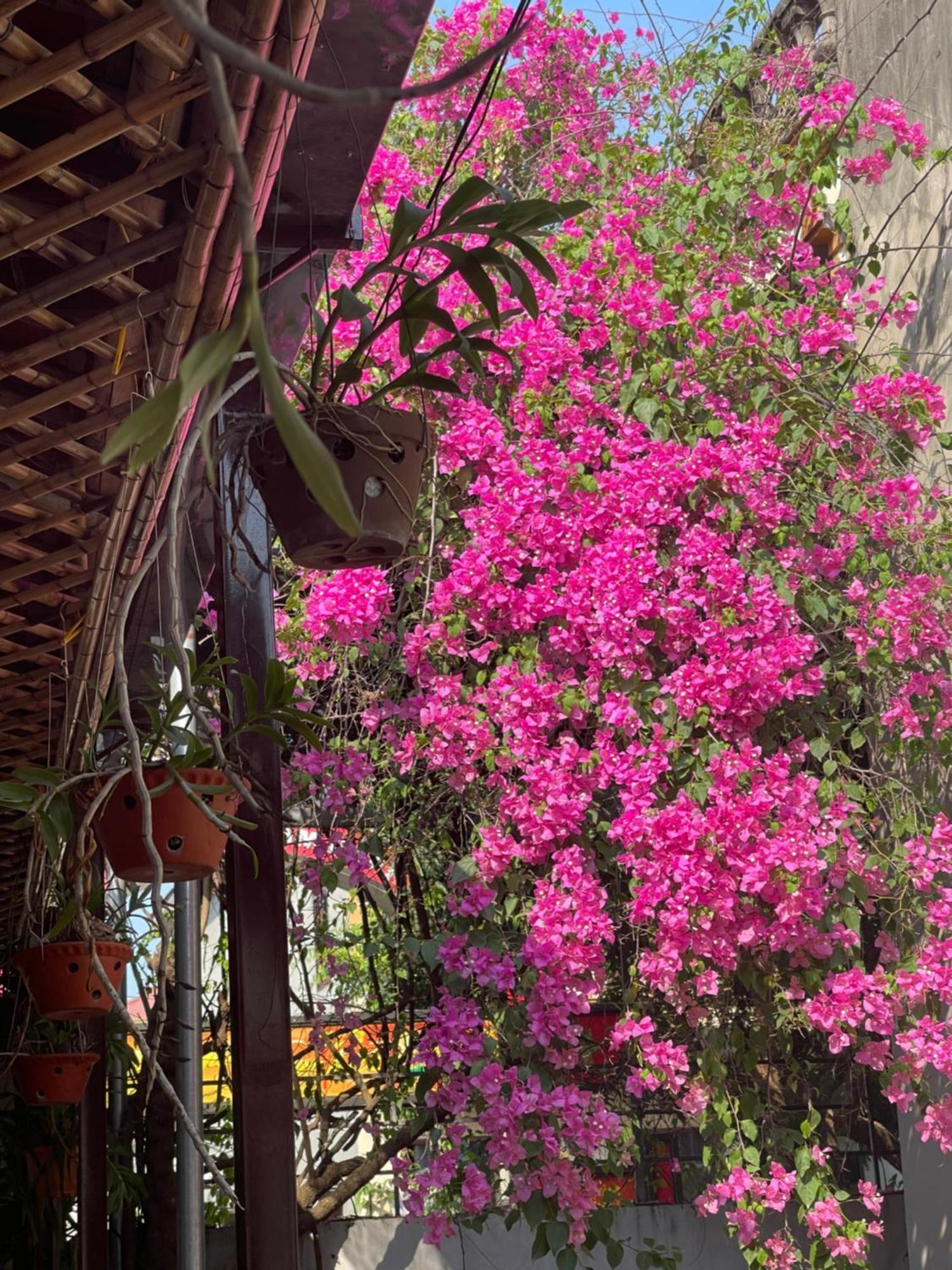 Thuy Xuyen Tam Coc Homestay Vu Lam Exterior foto