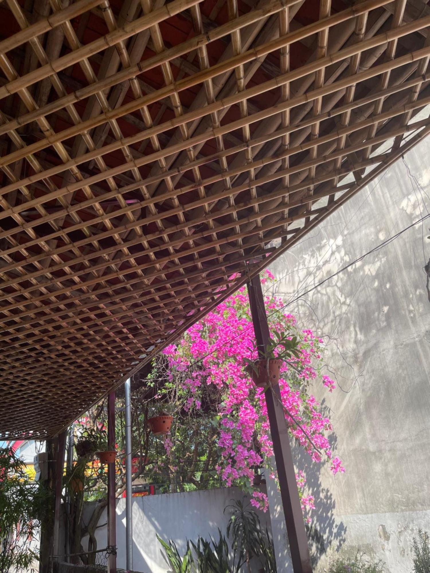 Thuy Xuyen Tam Coc Homestay Vu Lam Exterior foto