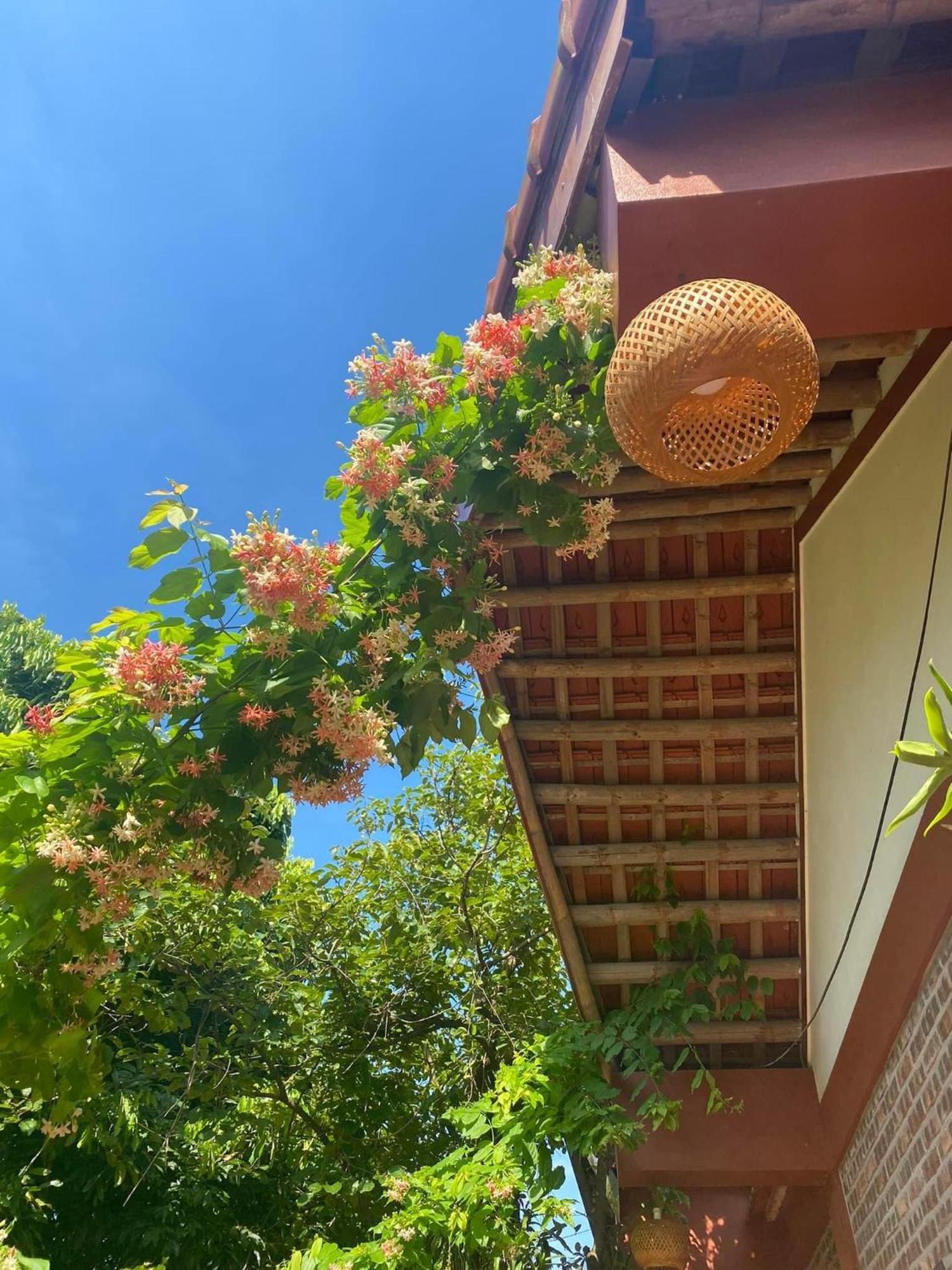 Thuy Xuyen Tam Coc Homestay Vu Lam Exterior foto